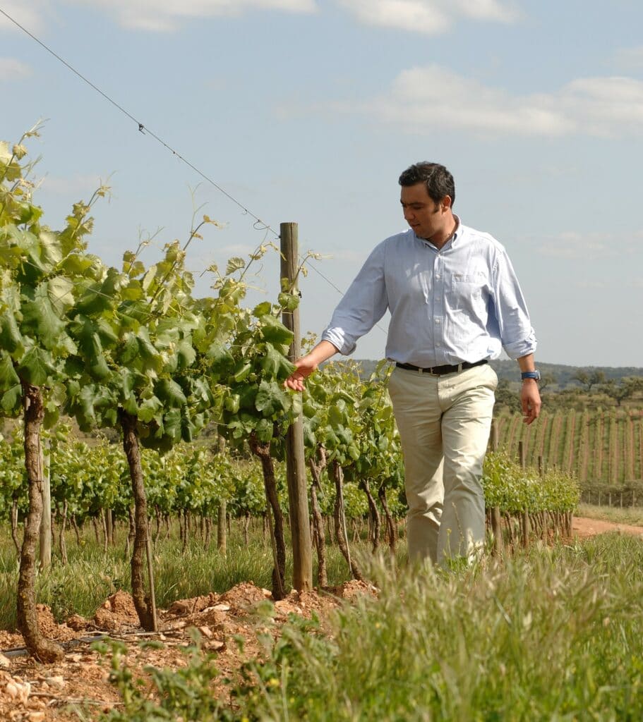 Nuno FRANCO, conseiller en viticulture et œnologue/winemaker au domaine portugais Casa Relvas
